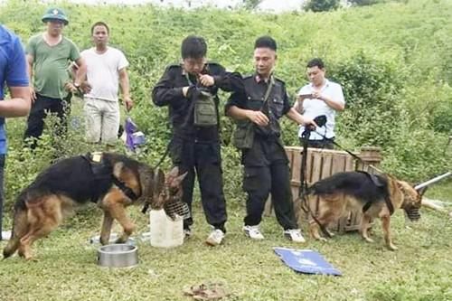 Bị chó nghiệp vụ truy lùng, nghi can giết vợ ra đầu thú