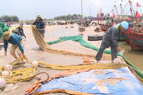 Thái Bình cấm biển, hoãn họp, di dời dân trước khi bão số 3 đổ bộ