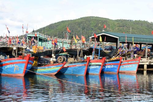 Nghệ An: 100% tàu thuyền đã liên lạc để tránh trú bão số 3
