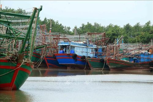 Bão số 3: Hải Phòng tạm dừng các hoạt động vận tải đường thủy nội địa