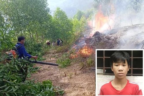Khởi tố thiếu niên 3 lần đốt rừng để 'trả thù' và 'cho vui'