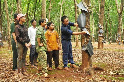 'Bàn tay vàng' Nguyễn Văn Hải