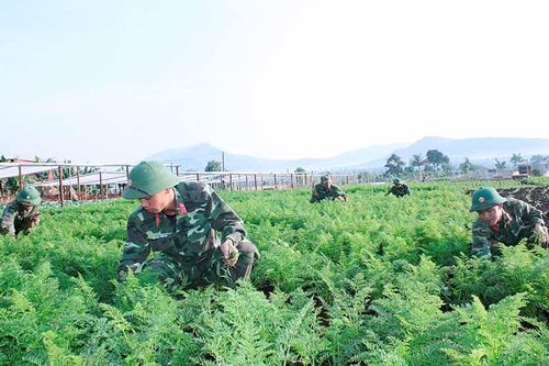 Quân đoàn 3: Đẩy mạnh tăng gia để cải thiện đời sống bộ đội