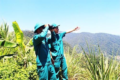 Kiểm tra công tác quản lý bảo vệ rừng tại thị xã Ninh Hòa