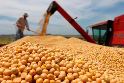 Trung Quốc sẽ tăng cường mua các nông sản xuất khẩu của Mỹ