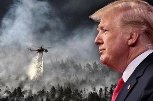 Tổng thống Putin cảm kích trước lời đề nghị 'lạ' của ông Trump