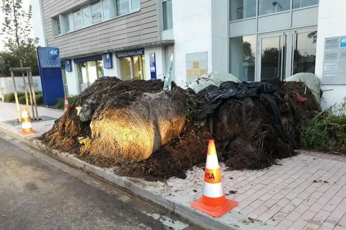 Nông dân đổ 2 tấn phân bón trước văn phòng nghị sĩ Pháp