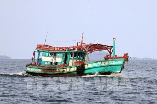 Ứng phó với bão số 3: Ninh Bình còn bốn phương tiện đánh bắt gần bờ bị mắc cạn