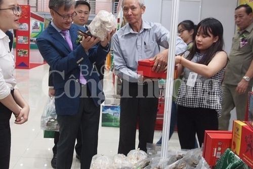 Đà Nẵng tích cực triển khai các chính sách hỗ trợ của ngành Công Thương cho kinh tế tập thể