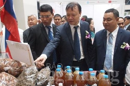Thúc đẩy thương mại, du lịch và đầu tư hành lang kinh tế Đông Tây – Đà Nẵng 2019