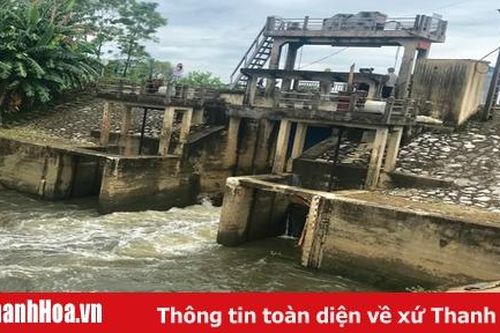 Chuẩn bị sẵn sàng cho công tác tiêu thoát nước khi có lũ lụt xảy ra