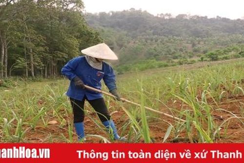 Người 'giữ lửa' cho sinh hoạt chi bộ ở xã Điền Trung