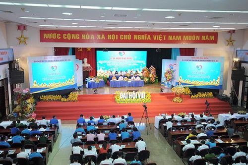 Khai mạc Đại hội đại biểu Hội LHTN tỉnh lần thứ VII