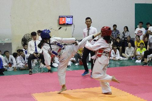 Khai mạc Giải taekwondo thiếu niên - nhi đồng tỉnh Đồng Nai mở rộng 2019