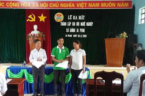 Thành lập chi hội nghề nghiệp cá giống xã Ia Peng