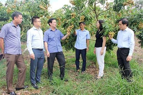 Đồng chí Phó Trưởng Ban Kinh tế Trung ương thăm một số mô hình kinh tế tại tỉnh Sơn La