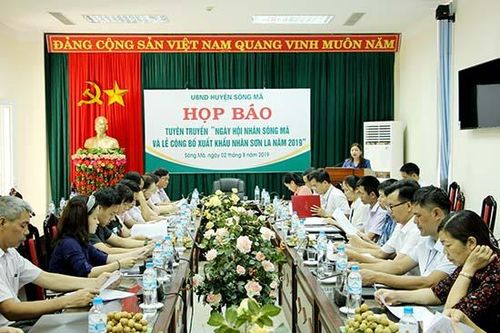 Họp báo tuyên truyền 'Ngày hội nhãn Sông Mã và Lễ công bố xuất khẩu nhãn Sơn La năm 2019'
