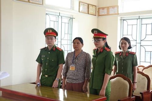 'Kiều nữ phố núi' liều lĩnh chiếm đoạt số tiền 'khủng' từ việc hoàn thuế
