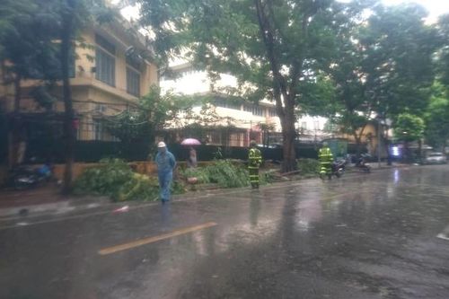 Bão số 3 đổ bộ, gió lớn 'quật' cây cối ngổn ngang
