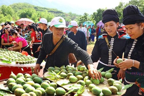 Vượt khó trên vùng đất dốc (tiếp theo)