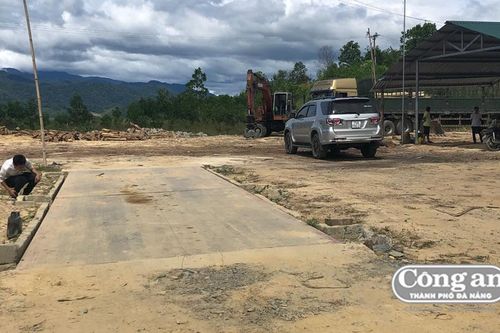 Trạm cân, xưởng cưa 'mọc' trái phép, chính quyền 'bó tay'?