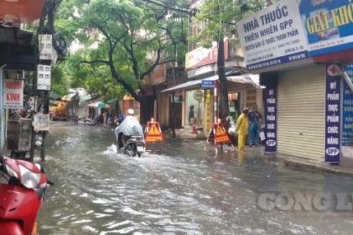 Hà Nội: Khắc phục ngập úng, cây xanh gãy đổ do bão số 3