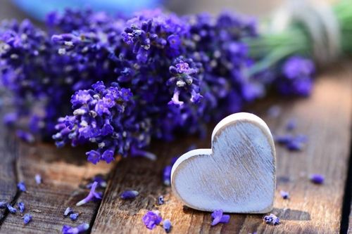 Tử vi ngày 4/8/2019: Tuổi Dần cần tránh thị phi, tuổi Dậu đào hoa nở rộ