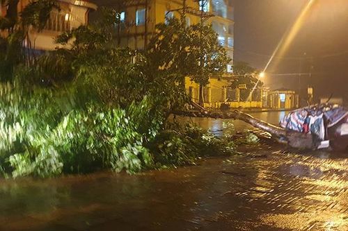Sông Ka Long nước lũ dâng cao, Móng Cái cây đổ ngổn ngang