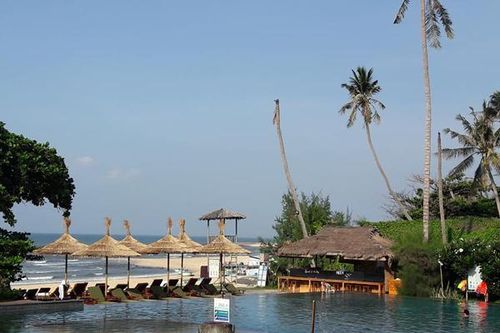 Ông chủ xưởng gỗ hối hận vì đồng ý cho vợ có con với người làm công