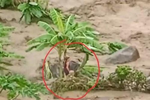 Lũ ống bất thần ập về cuốn trôi 17 người ở Thanh Hóa