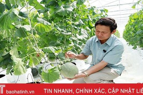 Nông dân Hà Tĩnh 'bắt nhịp' nền nông nghiệp thông minh