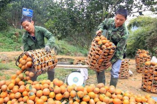 Sức lan tỏa mạnh mẽ khi 'Người Việt Nam ưu tiên dùng hàng Việt Nam'
