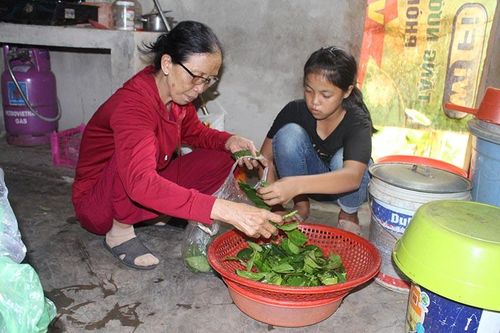 Hoàn cảnh đáng thương của cô bé hiếu học