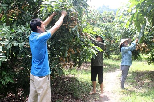 Huy động vốn ủy thác từ doanh nghiệp: Kinh nghiệm của Võ Nhai