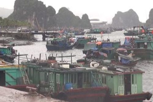 Bão tan, tàu du lịch hoạt động trở lại trên Vịnh Hạ Long