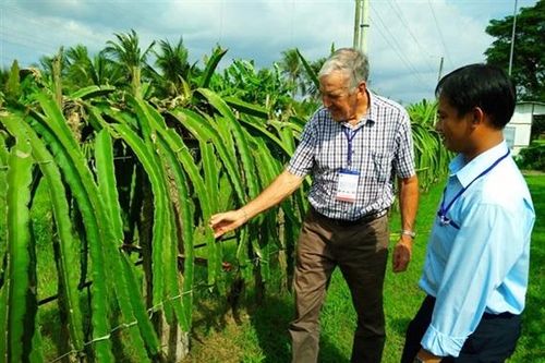 Đăng ký bảo hộ các giống cây ăn quả chỉ đạt khoảng 5% tổng số đơn