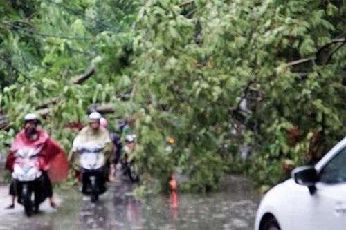 Bão số 3 gây mưa lớn, ngập lụt cho Quảng Ninh, Hải Phòng