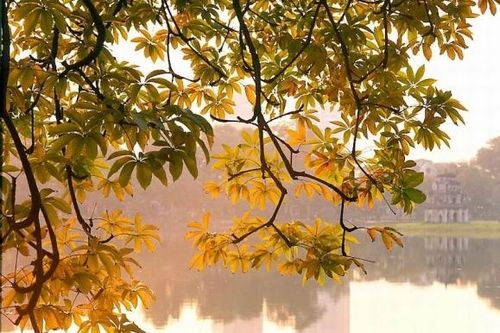 Rất nhẹ nhàng tháng Tám