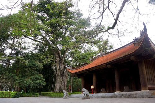 Lối viết giải thiêng lịch sử độc đáo trong 'Bò hoang phố cổ'