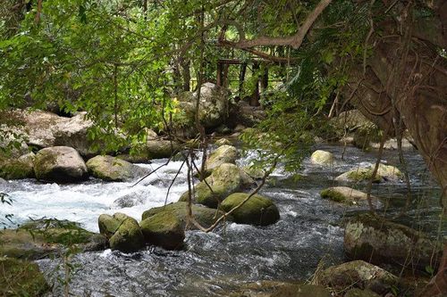 Cuộc hôn nhân trị giá 10 tỷ của con trai đại gia bất động sản