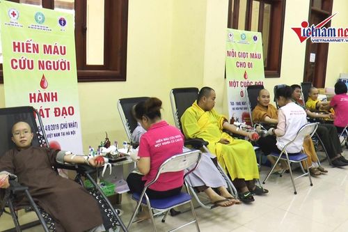 Gần 500 tăng ni sinh Học viện Phật giáo tham gia Hiến máu cứu người