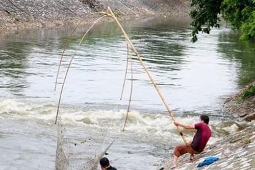 Người dân Hà Nội nô nức bắt cá sau ngay mưa bão
