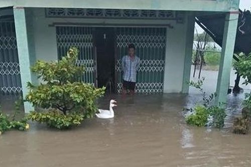 Thiên tai gây thiệt hại trên 4 tỉ đồng tại huyện U Minh