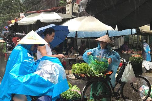 Hà Nội: Rau xanh tăng giá mạnh vì mưa bão