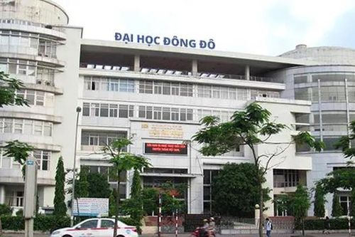 Bộ Giáo dục và Đào tạo cấp phôi bằng cho Trường Đại học Đông Đô theo quy định nào?