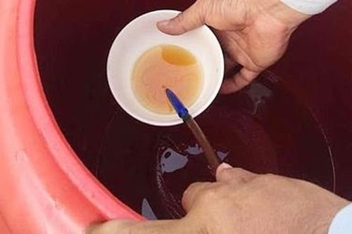 Ngang làng nước mắm, thăm người bạn xưa