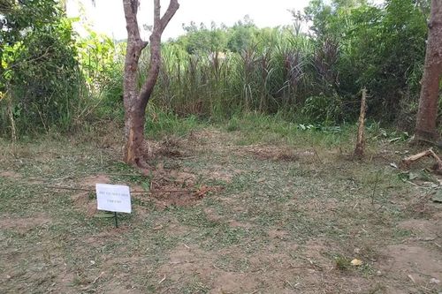 Quảng Nam: Nổ lớn trong vườn, một người tử vong