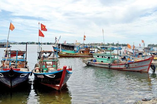 Ngư dân gặp khó với Luật Thủy sản mới