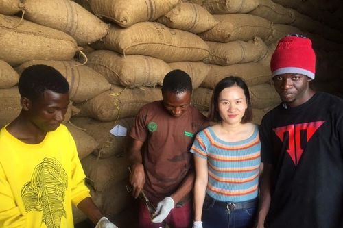 Tập đoàn T&T Group ký hợp đồng lớn nhất trong lịch sử ngành điều thế giới