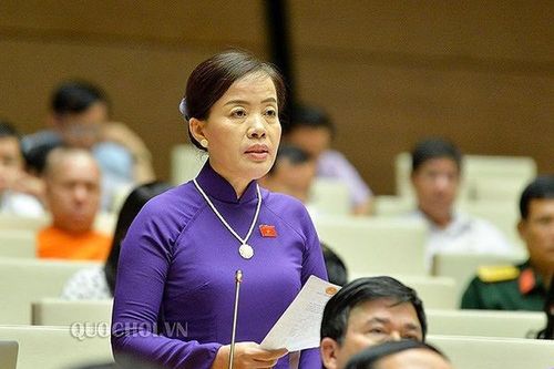 Đại biểu Quốc hội: Làm rõ căn cứ cấp đất để doanh nghiệp xây chùa